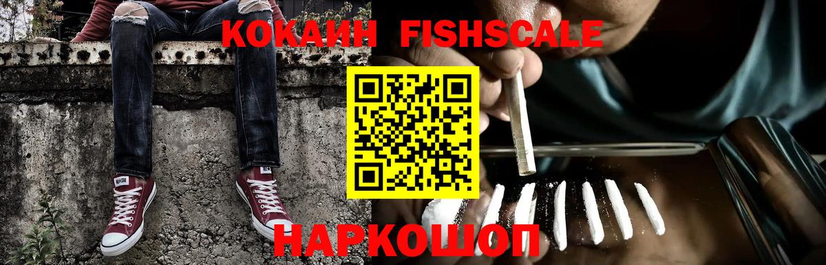 COCAIN Fish Scale Амурск