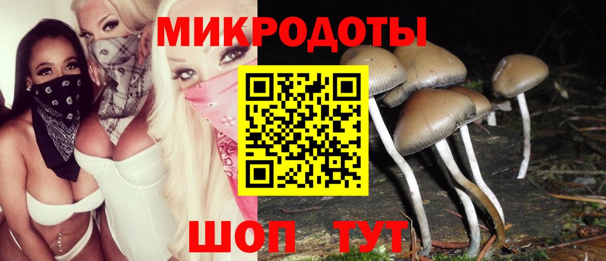 Амурск  Псилоцибиновые грибы Psilocybe  Вход с VPN 